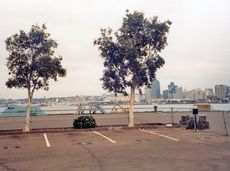 San-Diego6.jpg